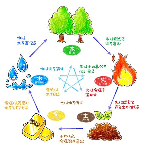 陰陽五行 木 性格|【陰陽五行×占い講座8】「木」の属性を深堀り！性格＆恋愛傾向